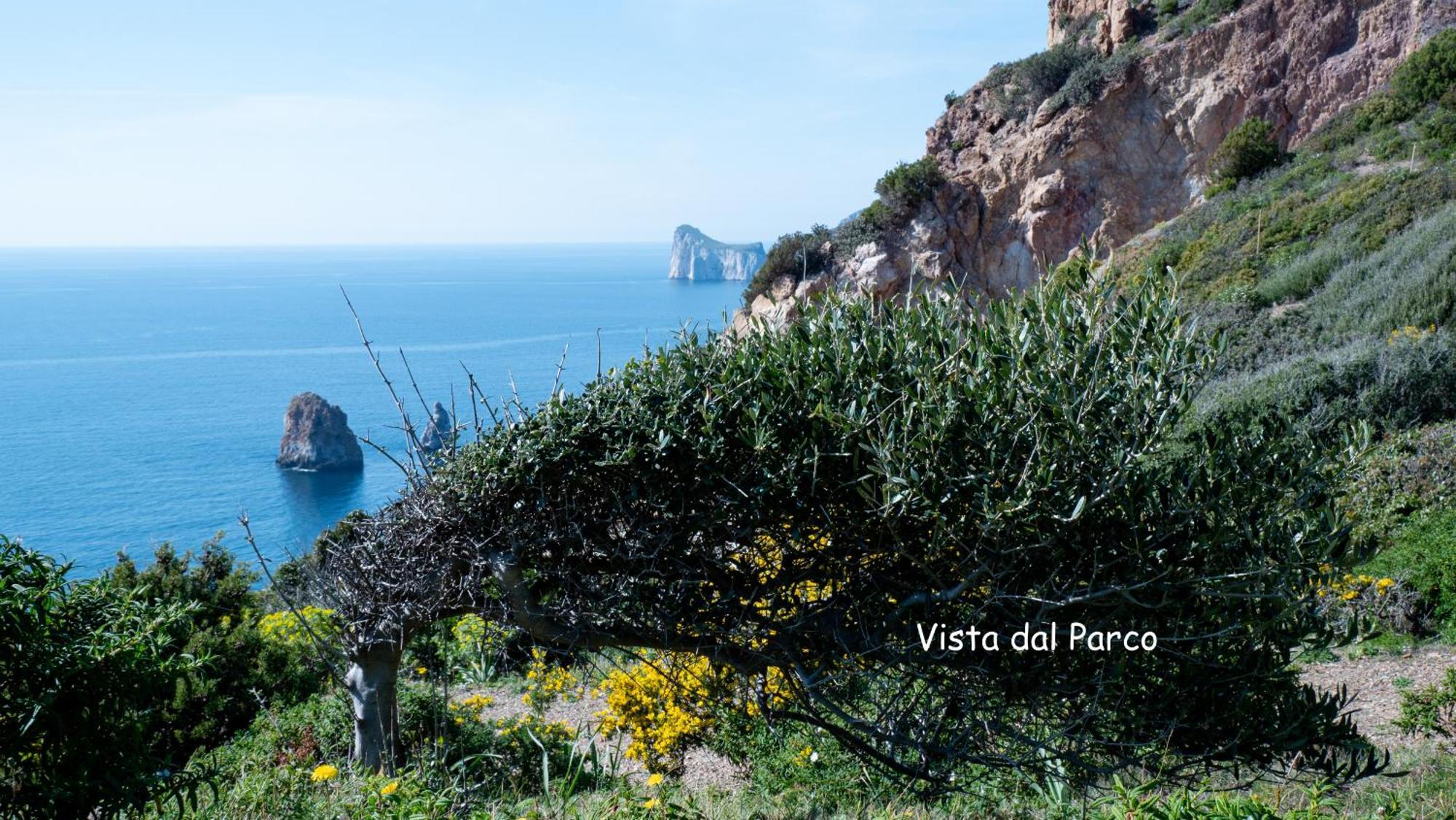 Il Dolce Risveglio Tanca Piras Villa Nebida Exterior foto
